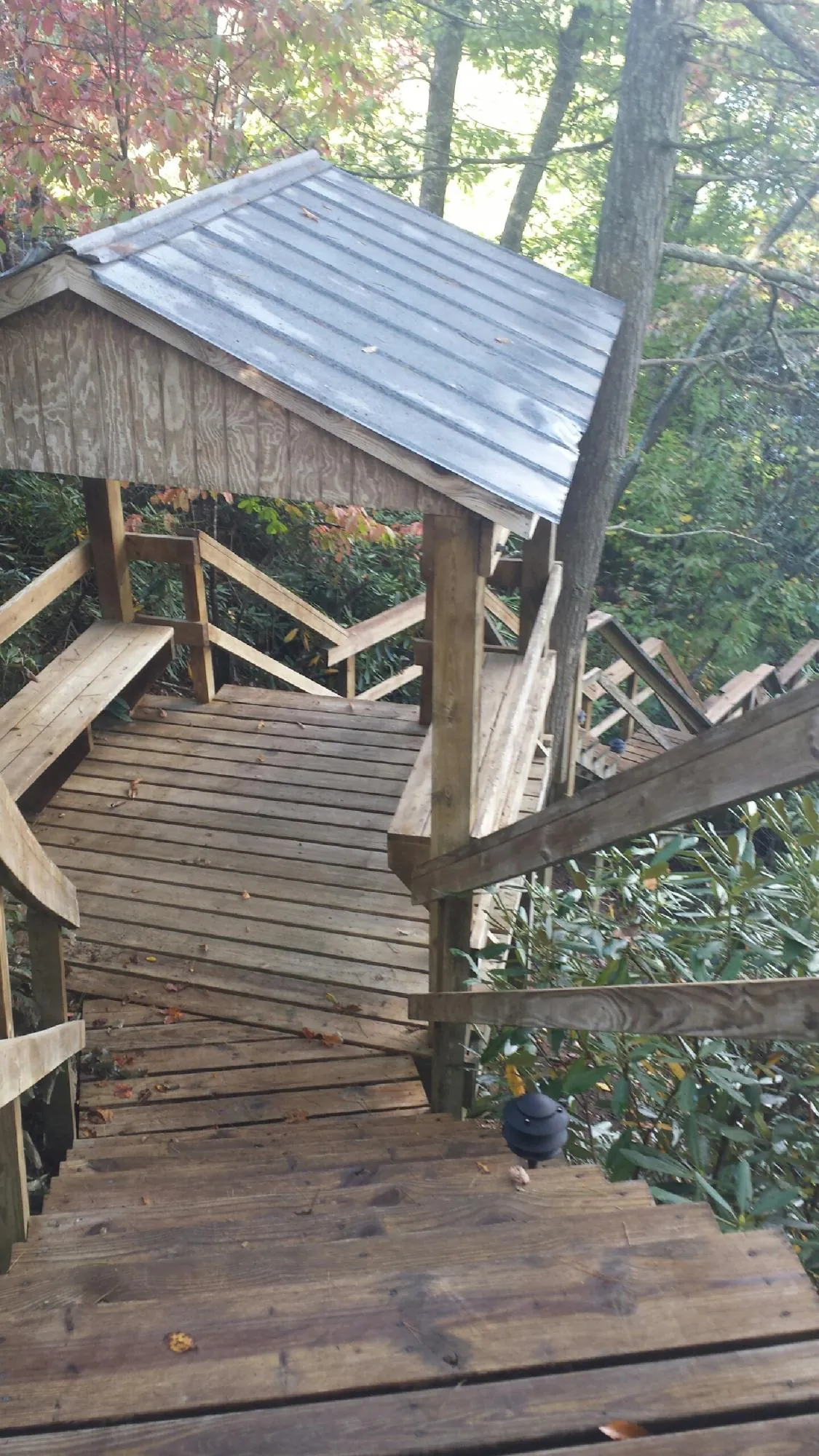 Metal roofed shelter over wooden steps on a wooded walkway — Skylight Repair & Installation work by our crew in Cuthbert